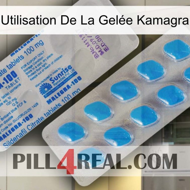 Utilisation De La Gelée Kamagra new15